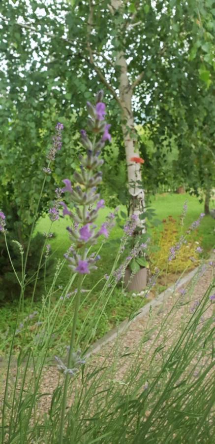 Green Garden Lohovo บีฮัช ภายนอก รูปภาพ
